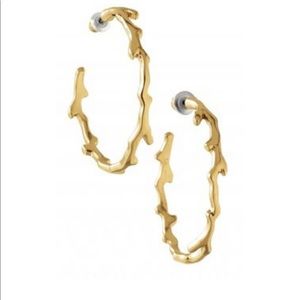 Stella & Dot Gold Carobella Coral Hoop Earrings 🌸